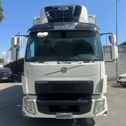 VOLVO FL250 pieno